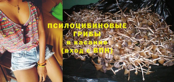 spice Богородск
