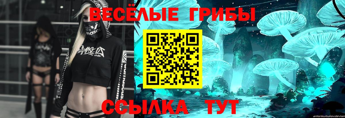 Зеленодольск  что такое наркотик  Вход с VPN  Галлюциногенные грибы MAGIC MUSHROOMS 